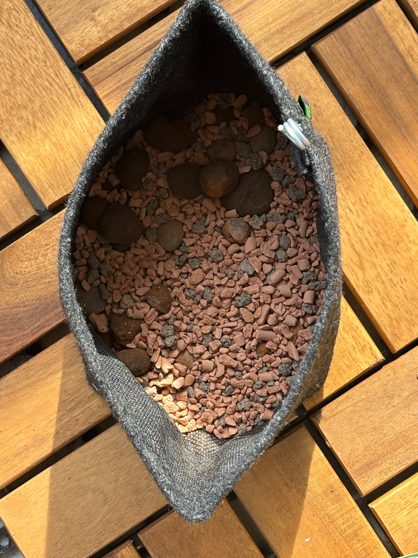 Blähton - Drainage für trockenliebende Pflanzen 🌱